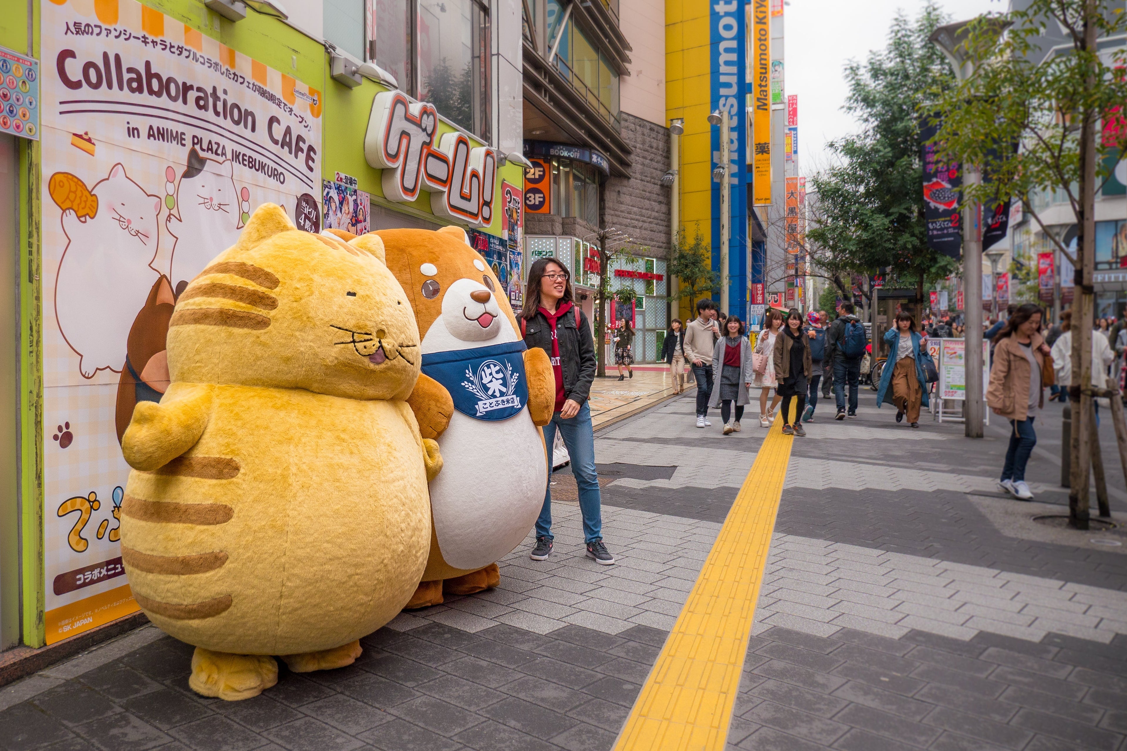 Warum Japan nicht für jeden das richtige Reiseziel ist: 7 Punkte, die du vorher kennen solltest