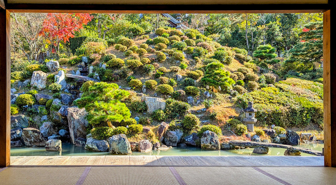 Kyoto - Die wichtigsten Infos